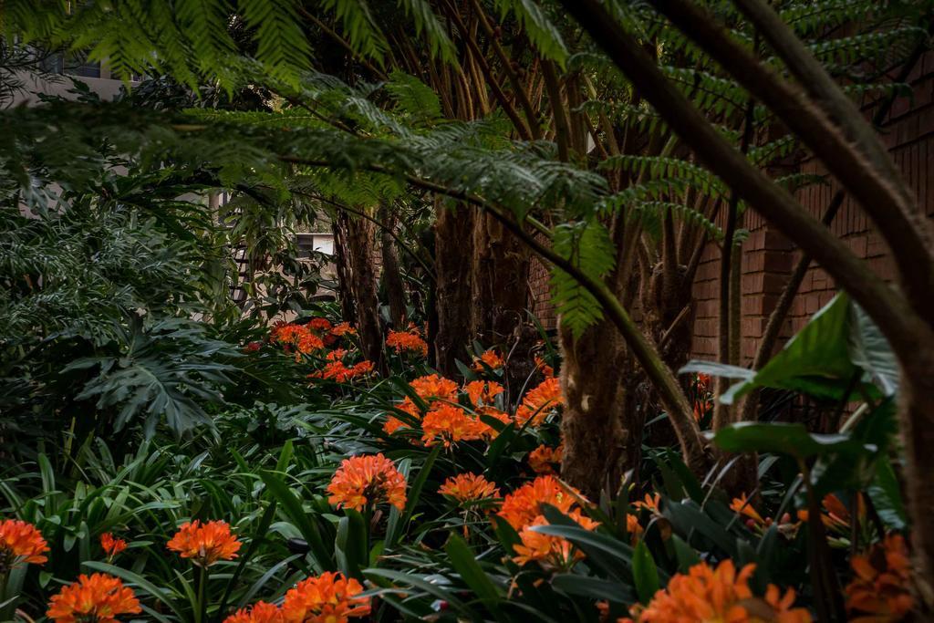 Hudson House Hotel Pretoria Ngoại thất bức ảnh