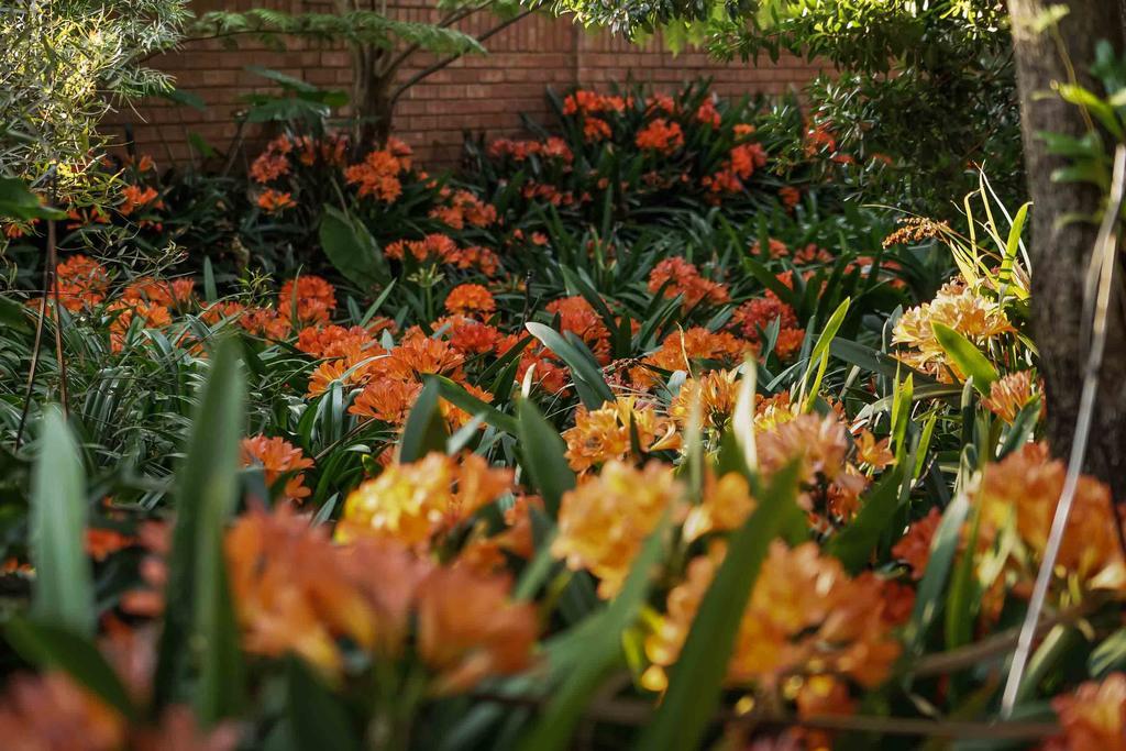Hudson House Hotel Pretoria Ngoại thất bức ảnh